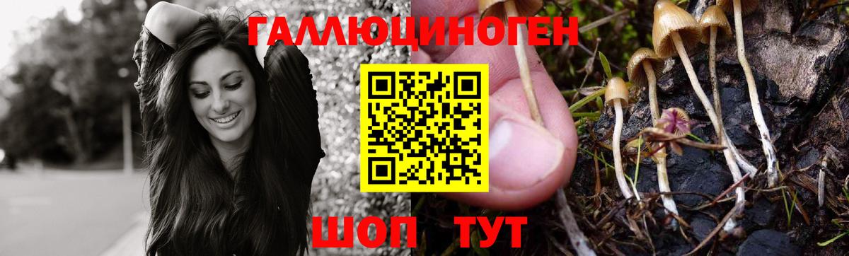 Балахна  Псилоцибиновые грибы мухоморы  Вход с VPN  Псилоцибиновые грибы Psilocybe 